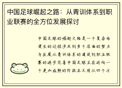 中国足球崛起之路：从青训体系到职业联赛的全方位发展探讨